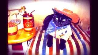 Two of a Kind - Syd Barrett cover song