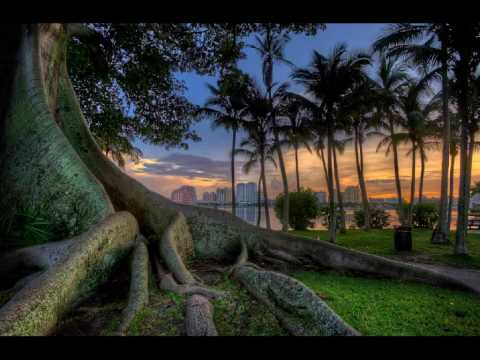 Nas Shootouts - Nujabes Blend