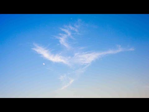 Astrolochi Unveiled: Lunar New Year's Dragon Secrets & The 5 Elements' Shocking Truth!