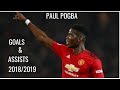 Paul Pogba►2018/2019 All Goals and Assists.