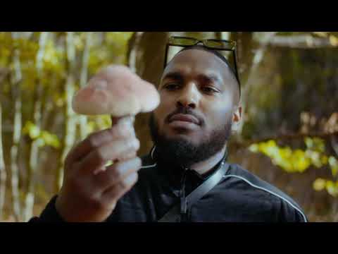 reezy feat. Nimo - TRANCE REMIX (prod by Dj Cashesclay & Dj Mastablaze )#trance #reezy #nimo