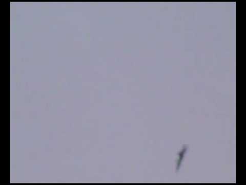 التصدي للطيران الحربي في سماء مدينة سراقب في ريف إدلب من قبل كتيبة بلال الحبشي