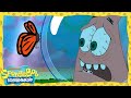 SpongeBob SpongeBob Und Patrick Kümmern Sich Um Sandys Haustier SpongeBob Schwammkopf