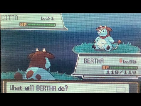 Shiny Miltank in HeartGold after 3,939 RE’s on route 47 with a repel trick