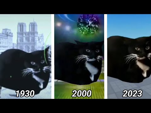 Maxwell Cat Em Diferentes Anos