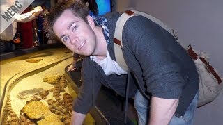 5 People Who Killed To Cover Their Lies