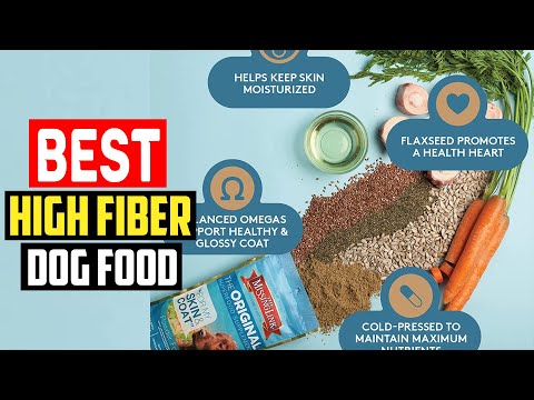 ✅Top 5 Best High Fiber Dog Food in 2025