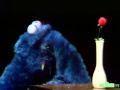Classic Sesame Street Cookie Monster Amor
