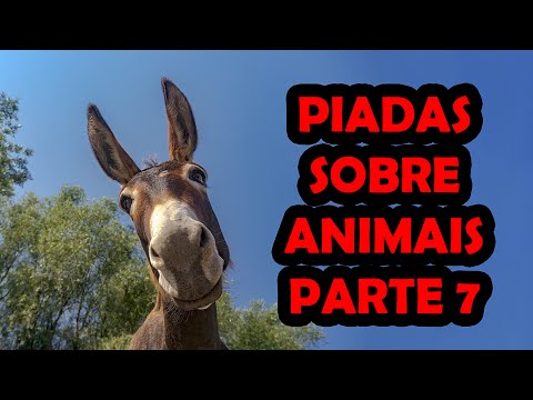 PIADAS SOBRE ANIMAIS PARTE 7 - HUMORISTA THIAGO DIAS