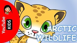 Learn Wild Arctic Animals Names and Sounds with Actual Pictures - YouTube Kids