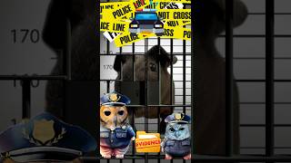 Detective Bibib part 2‼️ #funny #funnyvideo #funnyanimals #owl #animals #cuteanimals #cute #pets