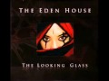 THE EDEN HOUSE - Street Spirit 