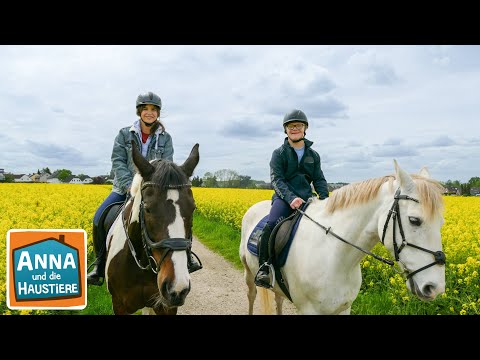 Ein Tag bei Jaycen und seinen Pferden | Information für Kinder |  Anna und die Haustiere |Spezial