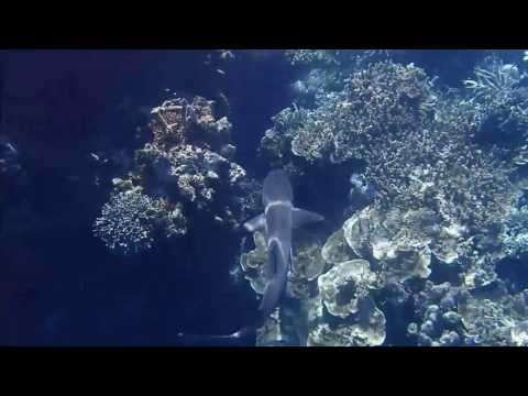 Whitsunday Luxury Sailing Holidays