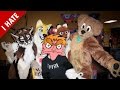 I HATE FURRIES
