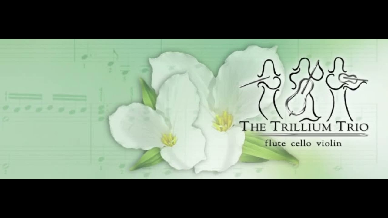Promotional video thumbnail 3 for The Trillium Trio