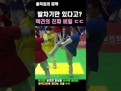 택견의 소름 돋는 비밀 #taekkyon #taekkyeon #mma