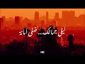 Al Shami - Leila [Lyric Video] (كلمات) _ الشامي - ليلى