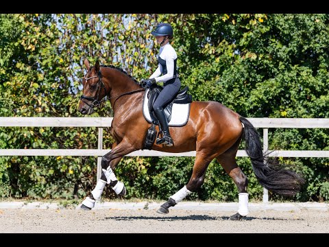 Temptation Love, 2022, Mare (Total Diamond PS x Franziskus)