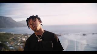 Nasty C ft Ari Lennox- Black And White (official music video)