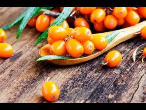 "Synesthesia" 2. Alsou Nigmatullina. Oblepikha