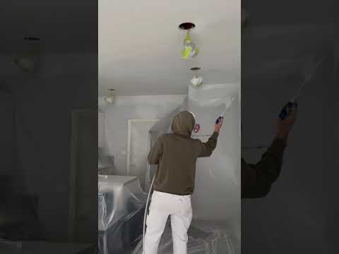 Frog clan painting group video.