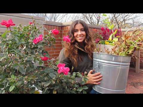 Pulling Annuals & What I Do With Garden Waste | Container Gardening