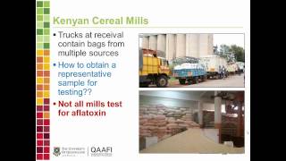 Controlling Aflatoxin to Improve Food Safety