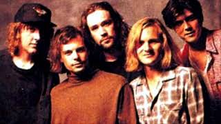 Gin Blossoms - Pieces of the Night