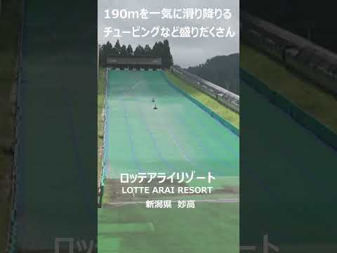 【ロッテが運営するスゴい高原リゾート】ロッテアライリゾート|アライ棟　カジュアルな雰囲気で妙高を遊び尽くす #旅行 #温泉#shorts