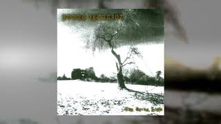 Judas Iscariot 🌲 But Eternals Beheld His Vast Forests 🌲 Cover without vocals