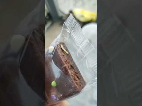 Little Debbie - Worms