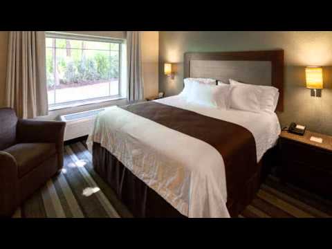 The Best Hotel in Rochester - East Avenue Inn