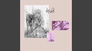 druid Music Video