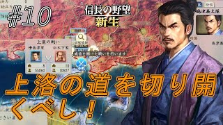 【信長の野望新生】信長亡き後天下混乱し新たなる時代が幕を開ける！島津義久弾頭せよ！ｗ#10【上級】