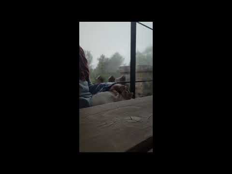 Cat Sleeping in the Rain ASMR | Relax While you Code