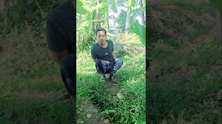 Download lagu Mau ketawa takut dosa video lucu bikin ngakak #funny #humorvibes #comedy #viralvideo #ngakak mp3 Download lagu Mau ketawa takut dosa video lucu bikin ngakak #funny #humorvibes #comedy #viralvideo #ngakak mp3