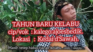 Download lagu Tahun Baru Kelabu. mp3