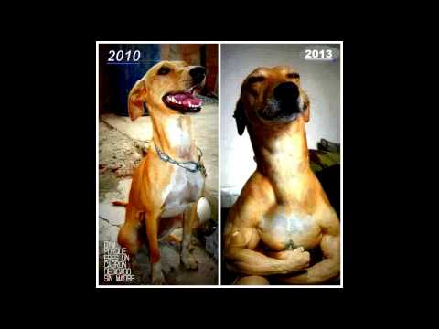 Los mejores memes de la HISTORIA¡¡¡¡¡¡¡