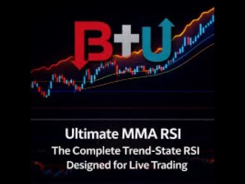 Video B2U Ultimate MMA RSI