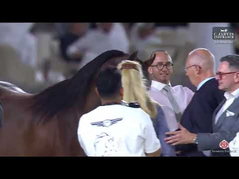 N 103 LR ANSELMO   GCAT Riyadh 2024   Colts 2 Years Old Class 5