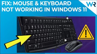 FIX: Mouse and keyboard not working in Windows 11