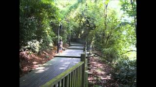 Changi Beach - Changi Point Boardwalk - Changi Village Hotel