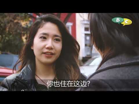 Seeing a friend on the street - Mandarin Chinese Dialogue (Pinyin and English in description field)