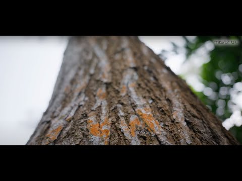 Brand 10 — watch on YouTube
