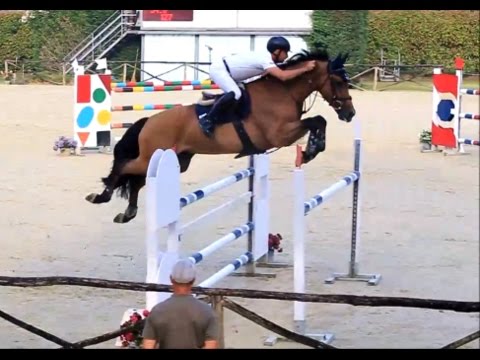 Vandaland - Riccardo Migli - Naz A4* C135  mista  25/6/2016