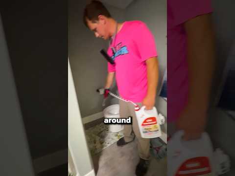 How to Do Your Own Pest Control