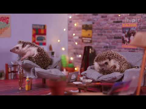 Announcing The 2018 Tiny Desk Contest: Meet Edgehög