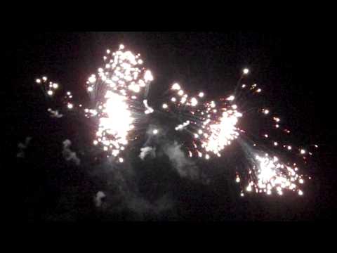 Silver Strobe Waterfall - Dominator Pro 1.4g