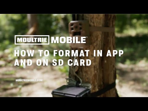How to Format SD Cards in App and On Your Moultrie Mobile Camera